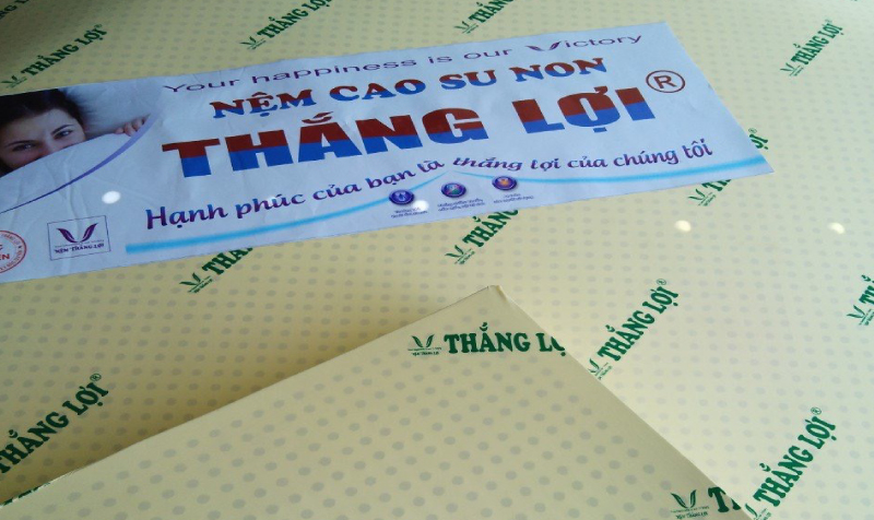 Nệm cao su non Thắng Lợi