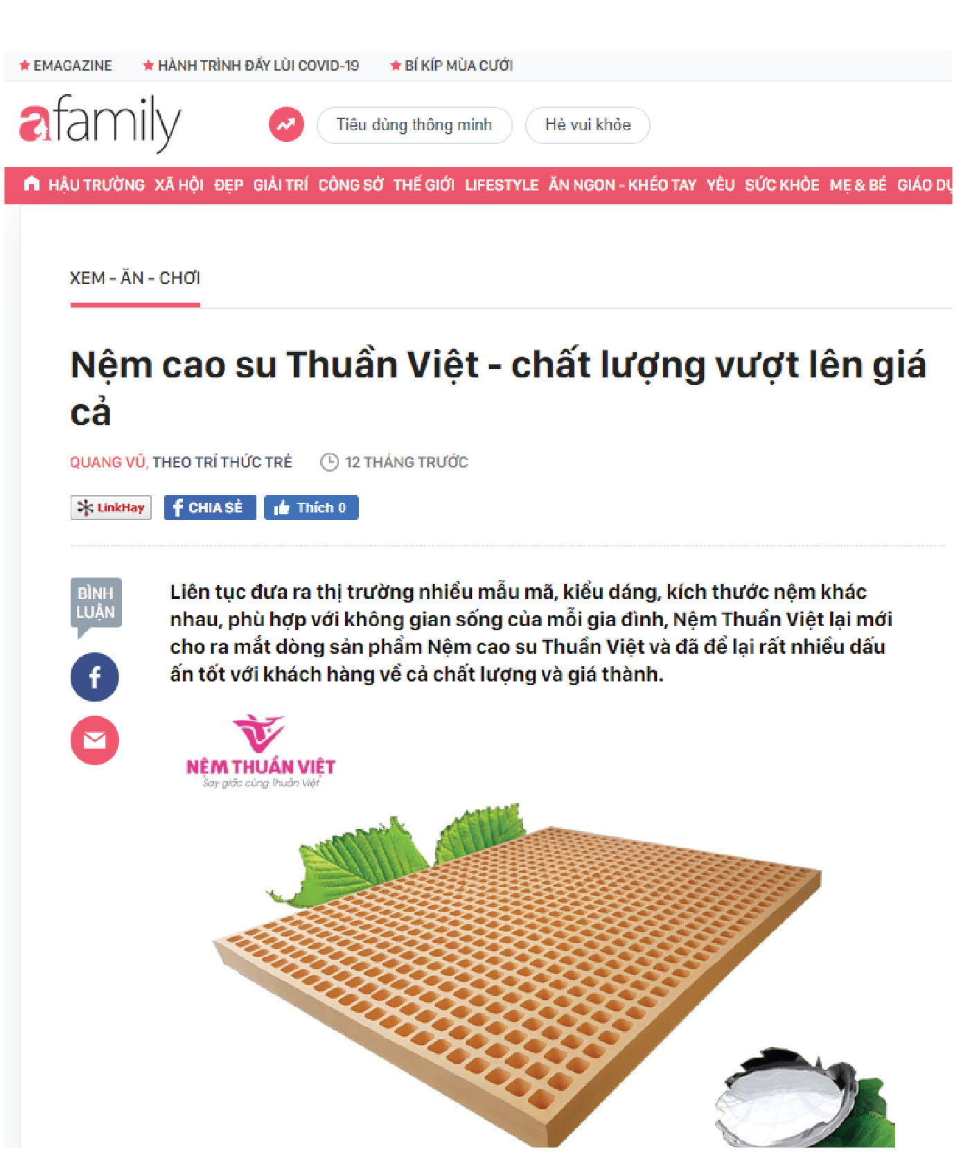 Báo mạng nói về nệm Thuần Việt