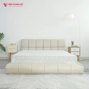 Nệm Foam Thuần Việt Premium – Hỗ trợ nâng đỡ vùng lưng