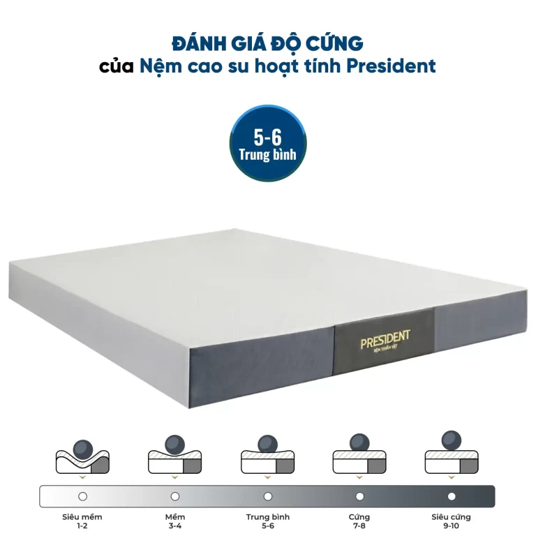 nem-cao-su-hoat-tinh-president-mo-ta-web