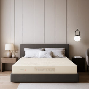 Nệm Cao Su Thiên Nhiên Việt Nhật Natural – Thế Hệ Mới Nâng Đỡ Hoàn Hảo, Xoa Dịu Mọi Cơn Nhức Mỏi